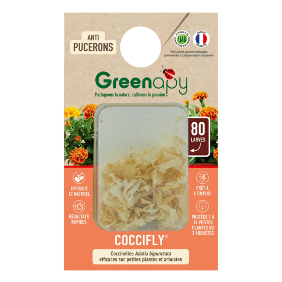 80 larves coccinelles anti-pucerons - Coccifly