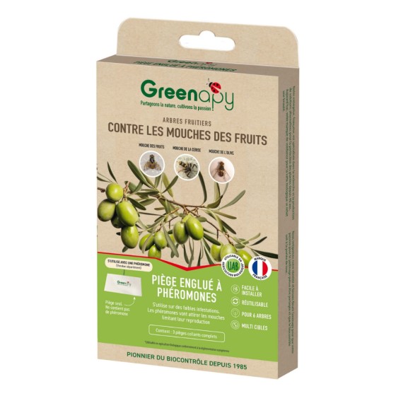 Piège DACOTRAP détection des mouche des fruits