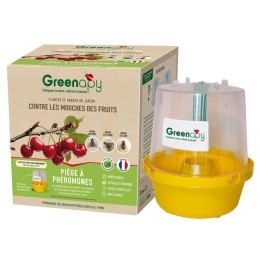 Piège mouche : mouche des fruits
