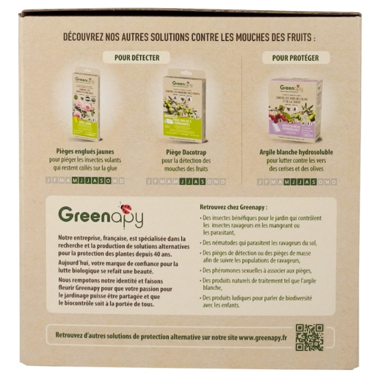 Piège mouche : mouche des fruits