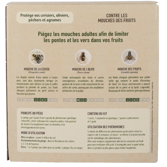 Piège mouche : mouche des fruits