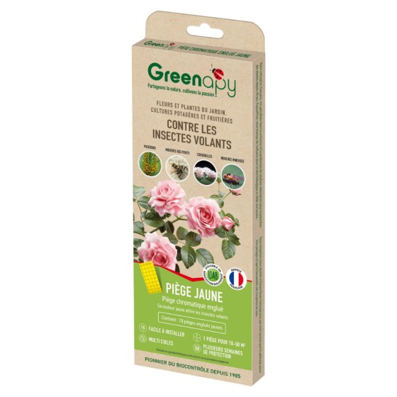 Piège englué chromatique jaunes