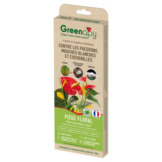 Piège englué floral anti insectes