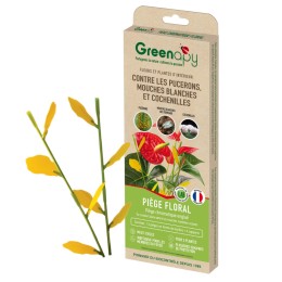 Piège englué floral anti insectes