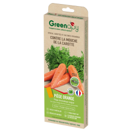 Piège englué chromatique oranges