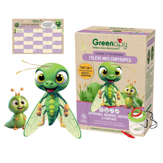 Kit : j'élève mes chrysopes Tout en 1