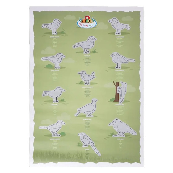 Poster à gratter Oiseaux