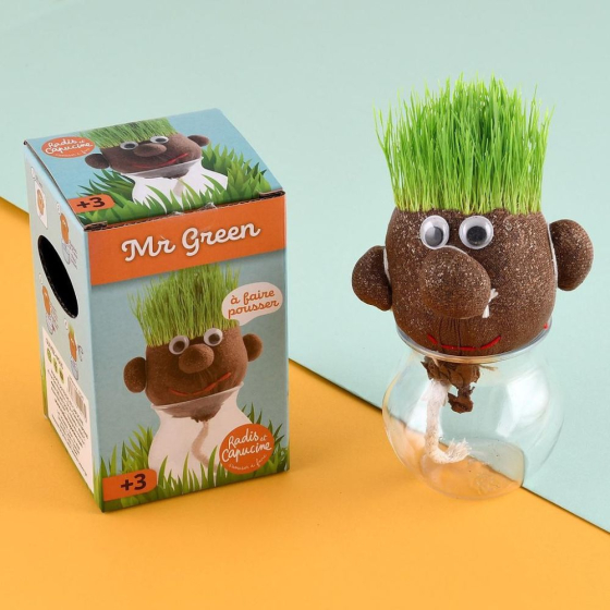 Mr Patate à faire pousser