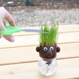 Mr Patate à faire pousser