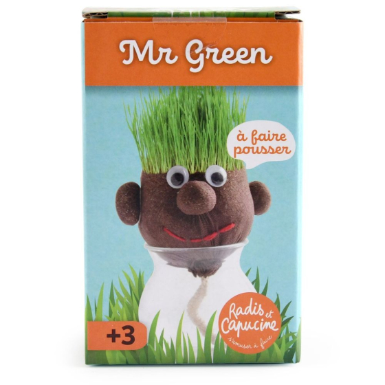 Mr Patate à faire pousser