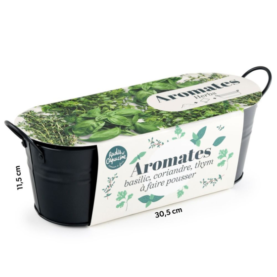 Jardinière zinc noir 30 cm - Aromates