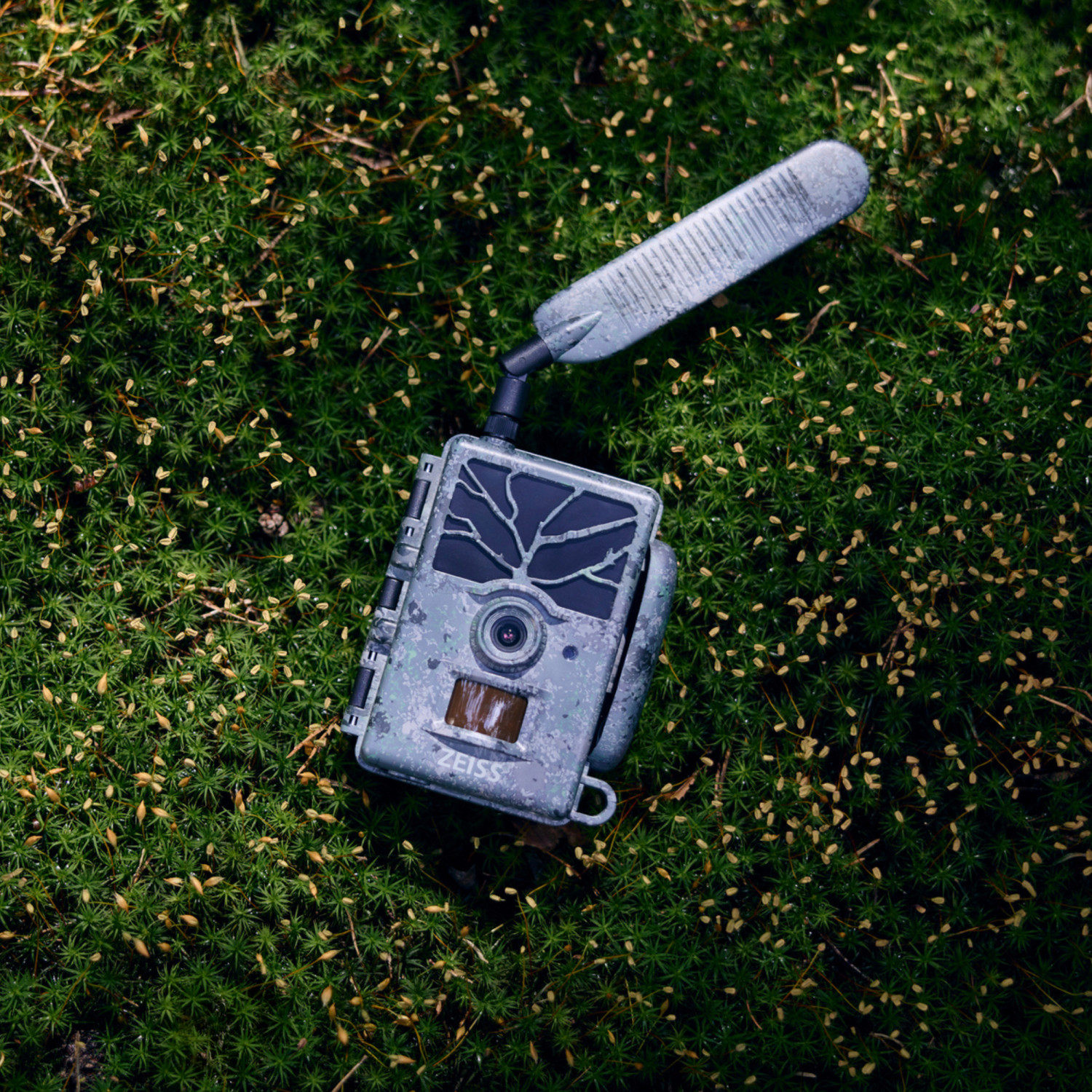 Piège photo ZEISS Secacam 1