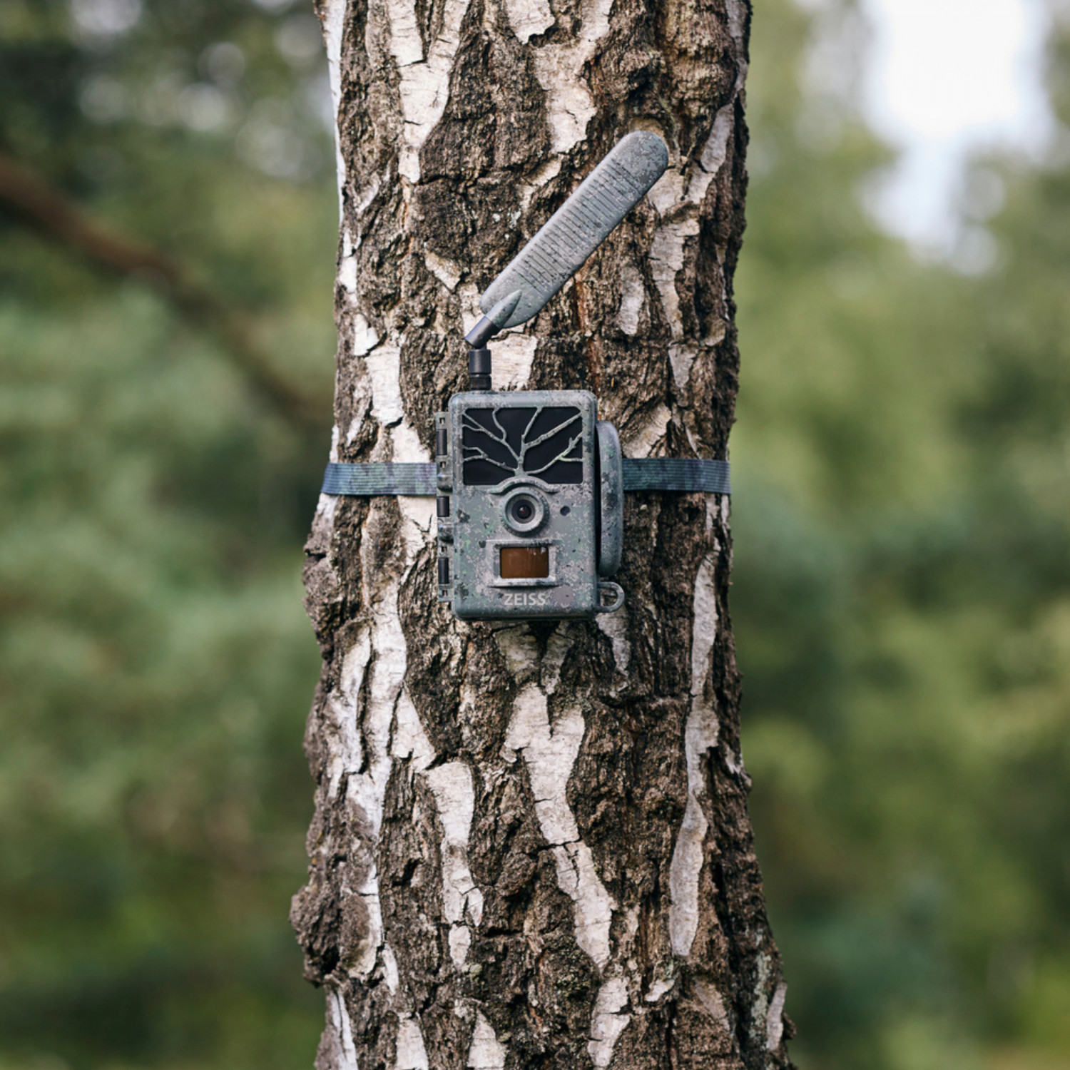 Piège photo ZEISS Secacam 1