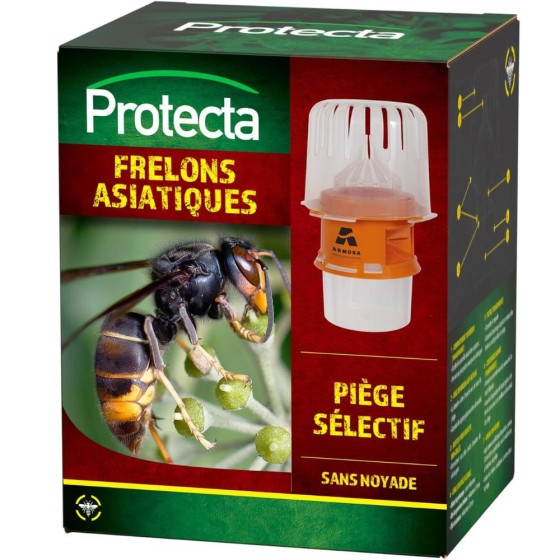 Piège sélectif pour frelons asiatiques