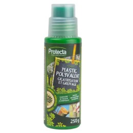 Mastic polyvalent - 250gr