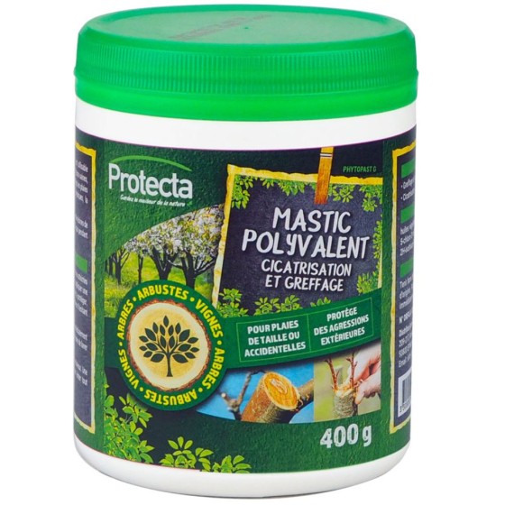 Mastic polyvalent - 400gr