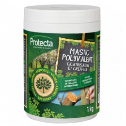 Mastic polyvalent - 1kg