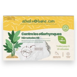 Nématodes HB contre otiorhynques - 10 millions - 20 arbustes