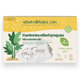 Nématodes HB contre otiorhynques - 25 millions - 50 m²
