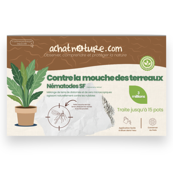 Nématodes SF contre mouches des terreaux - 3 millions - 15 pots