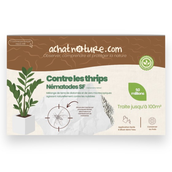 Nématodes SF contre thrips - 50 millions - 100 m²