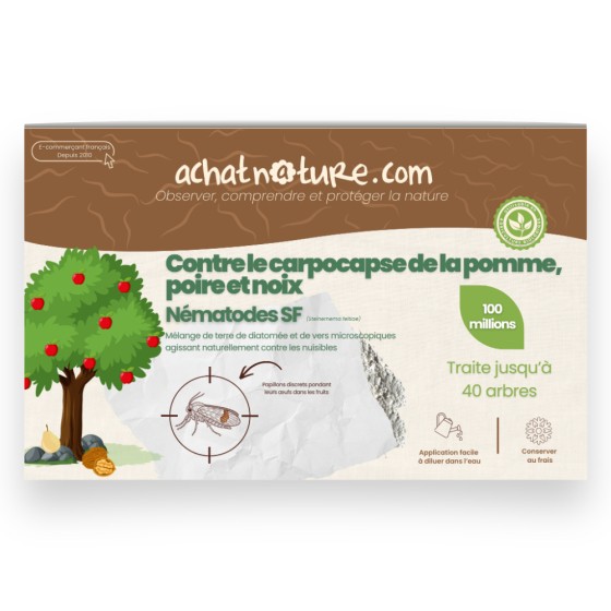 Nématodes SF contre carpocapses de la pomme, poire et noix - 100M - 40 arbres