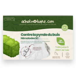 Nématodes SC contre pyrale du buis - 250 millions - 250 mètres de haie