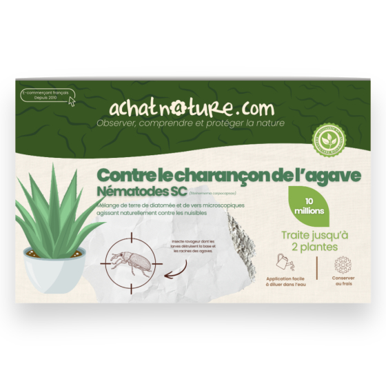 Nématodes SC contre charançon de l'agave - 10 millions - 2 plantes