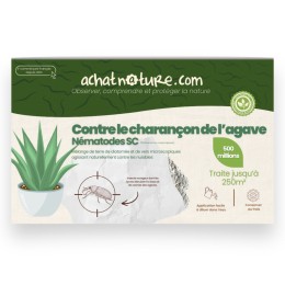 Nématodes SC contre charançon de l'agave - 500 millions - 250 m²