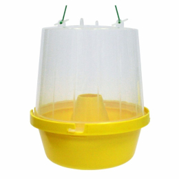 Piège seul contre les mouches des fruits