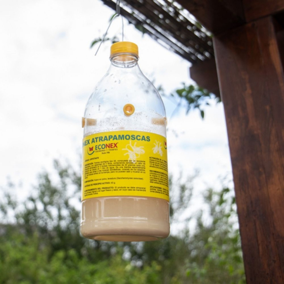 Piège écologique Attrape-mouches domestiques