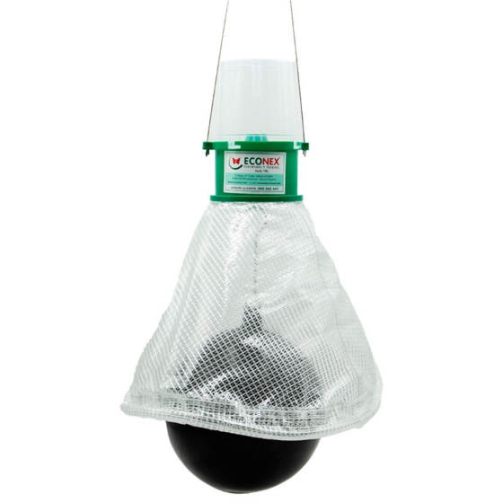 Piège contre les taons