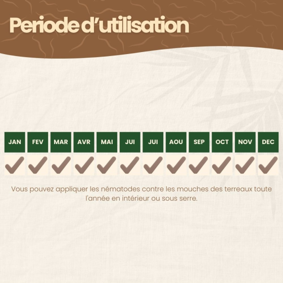 Nématodes SF contre mouches des terreaux - 3 millions - 15 pots