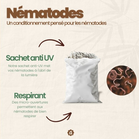 Nématodes SF contre mouches des terreaux - 50 millions - 100 m²