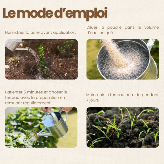 Nématodes SF contre fourmis - 3 millions - 3 fourmilières