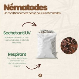 Nématodes SC contre capnode du pêcher - 50 millions - 10 arbres