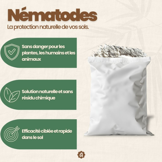 Nématodes SC contre vers gris - 5 millions - 10 m²
