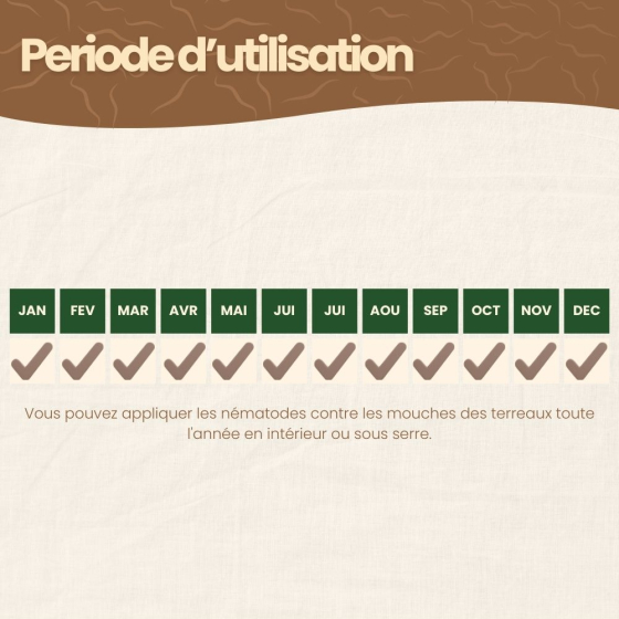 Nématodes SF contre mouches des terreaux - 10 millions - 50 pots