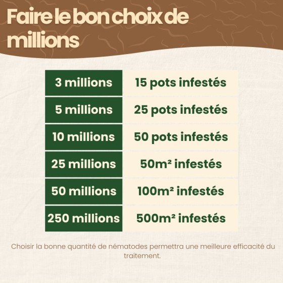 Nématodes SF contre mouches des terreaux - 25 millions - 50 m²