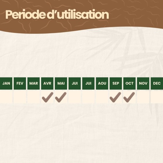 Nématodes HB contre otiorhynques - 5 millions -10 arbustes