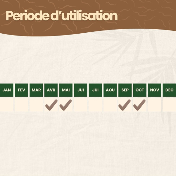 Nématodes HB contre otiorhynques - 50 millions - 100 m²