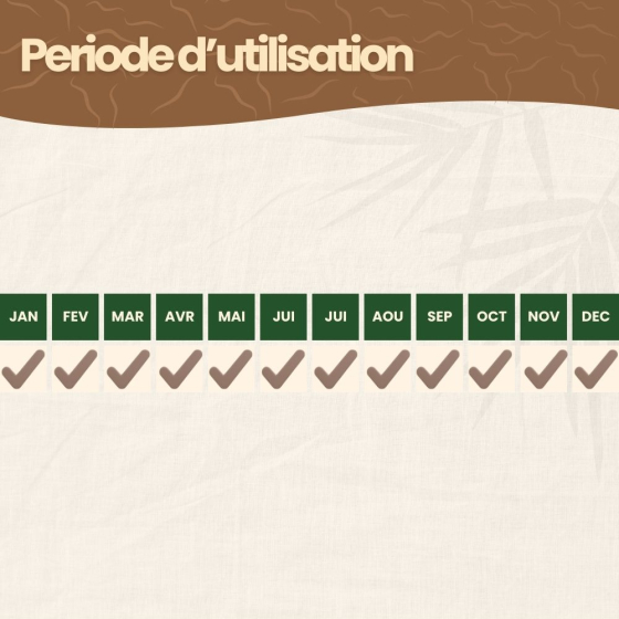 Nématodes SF contre fourmis - 10 millions - 10 fourmilières