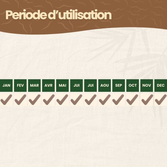 Nématodes SF contre fourmis - 50 millions - 100 m²