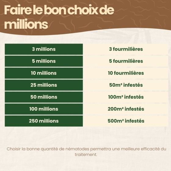 Nématodes SF contre fourmis - 100 millions - 200 m²