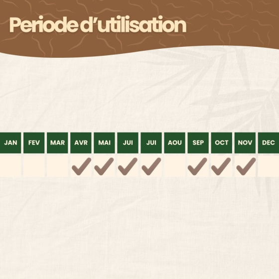 Nématodes SF contre carpocapses de la pomme, poire et noix - 5M - 2 arbres
