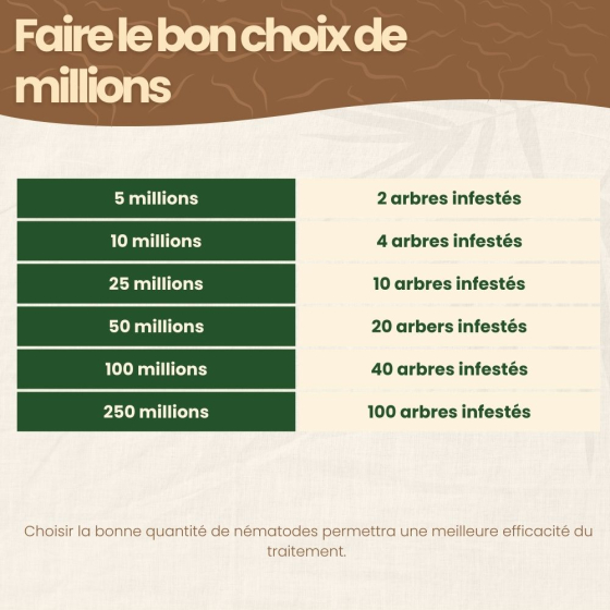 Nématodes SF contre carpocapses de la pomme, poire et noix - 50M - 20 arbres