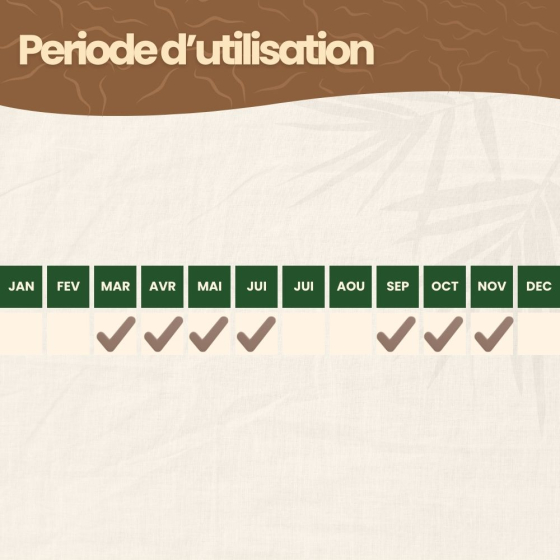 Nématodes SC contre charançon rouge du palmier - 250 millions - 15 à 20 palmiers
