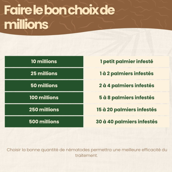 Nématodes SC contre charançon rouge du palmier - 100 millions - 5 à 8 palmiers