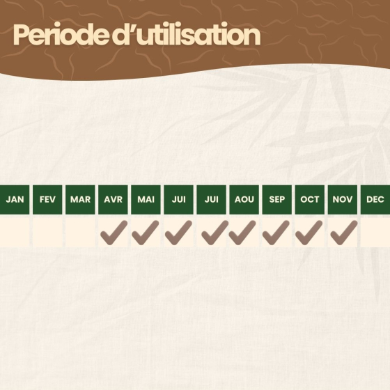 Nématodes SC contre capnode du pêcher - 100 millions - 20 arbres