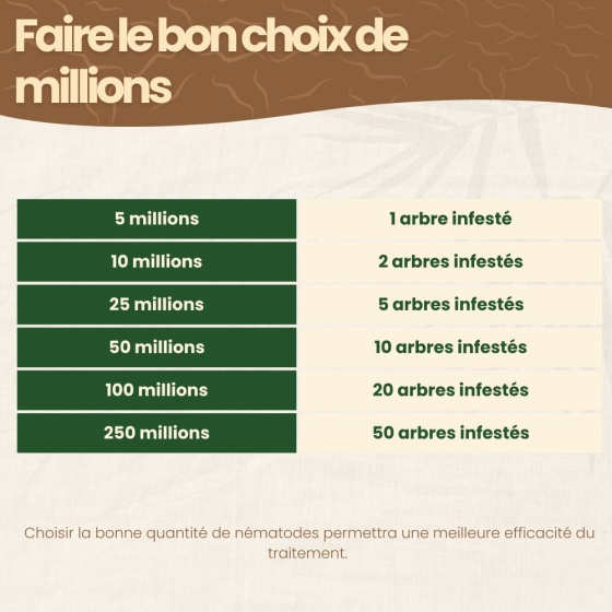Nématodes SC contre capnode du pêcher - 25 millions - 5 arbres
